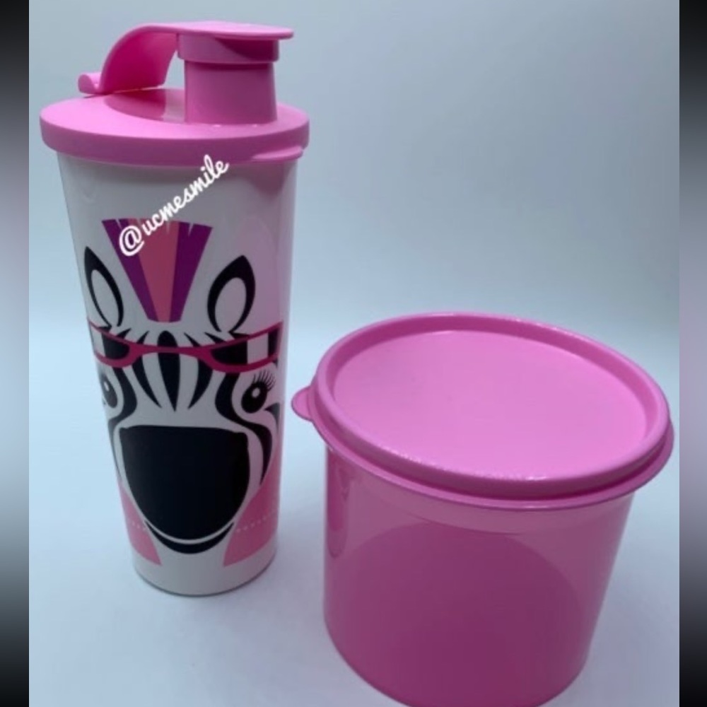 Tupperware Kids Zoo Fanny Zebra Lunch Set